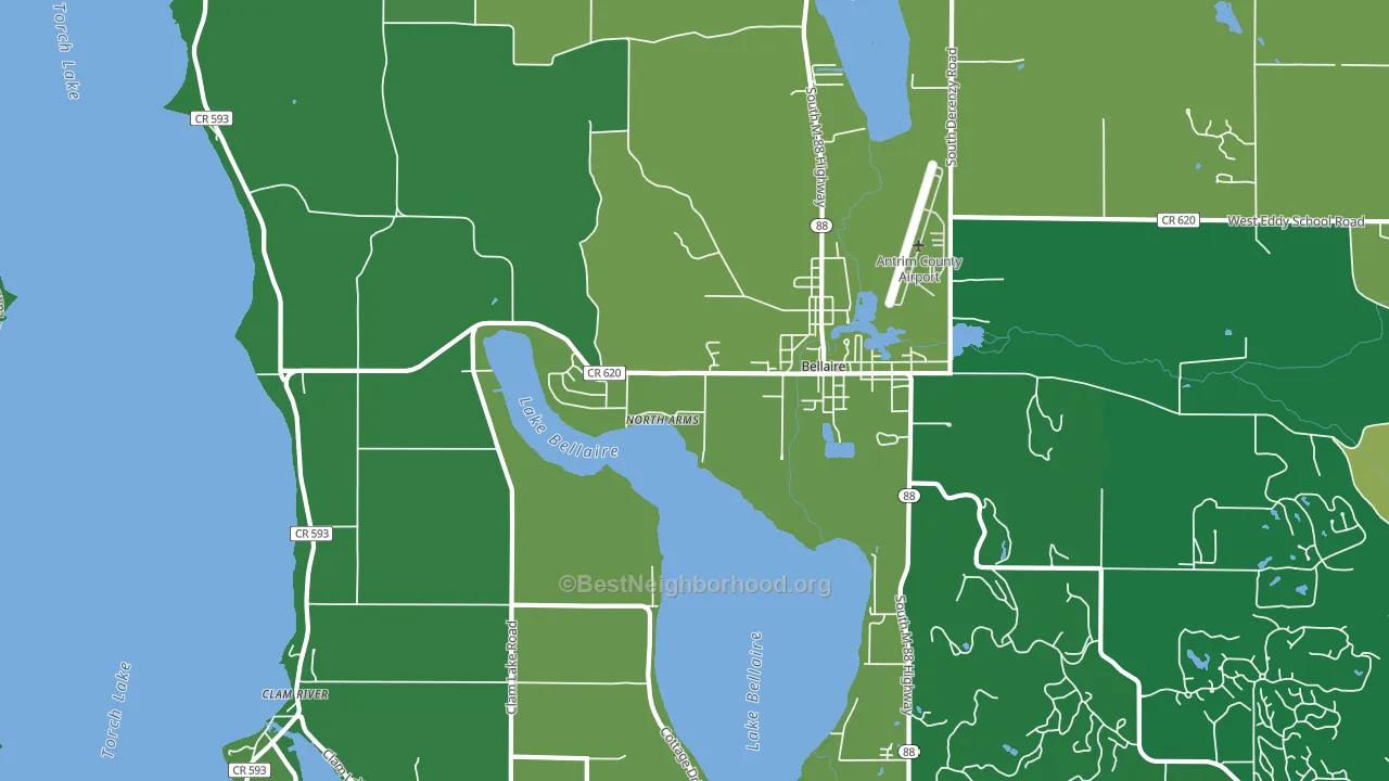 North Arms, MI block-group voter-turnout map
