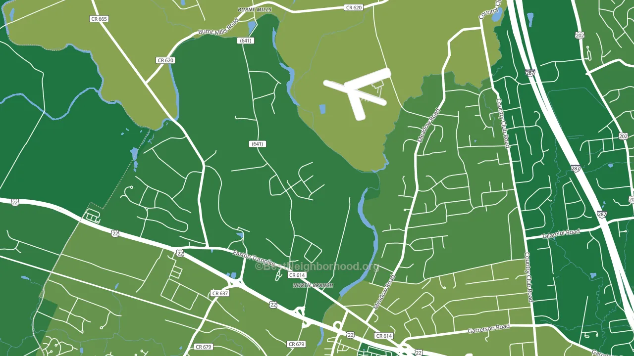 North Branch Depot, NJ block-group voter-turnout map