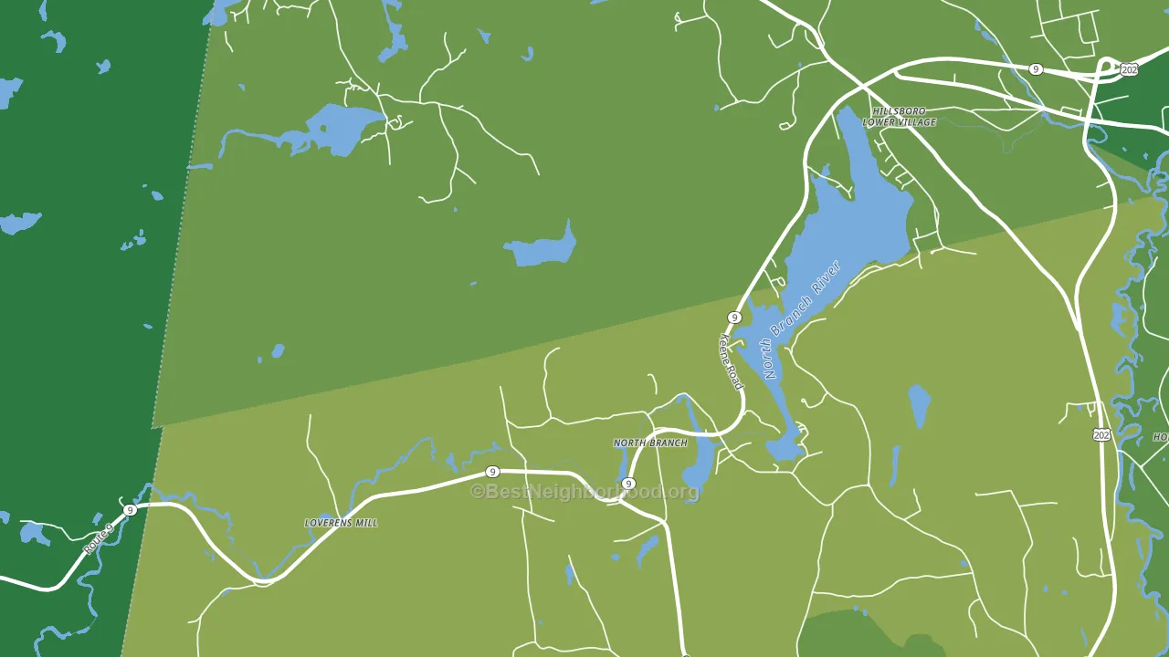 North Branch, NH block-group voter-turnout map