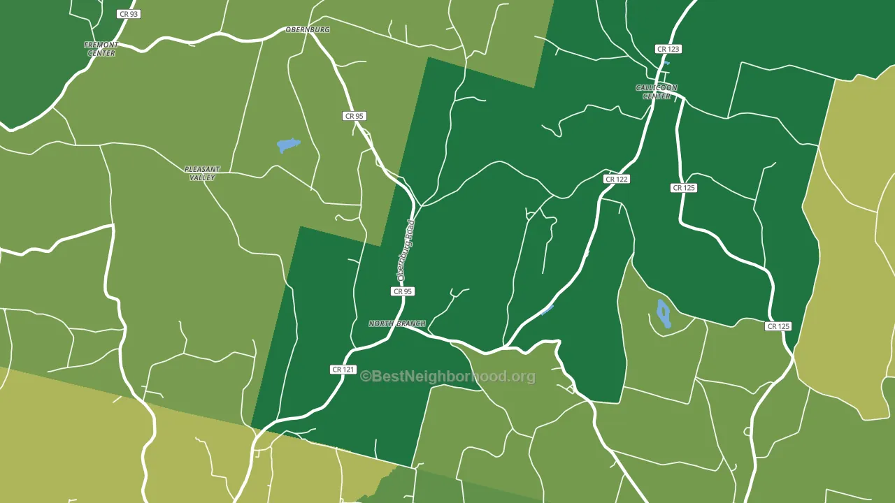 North Branch, NY block-group voter-turnout map