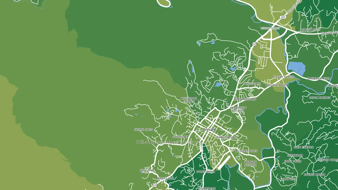 North Brevard, NC block-group voter-turnout map