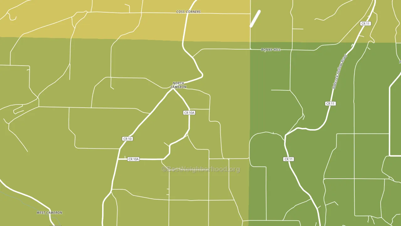 North Cameron, NY block-group voter-turnout map