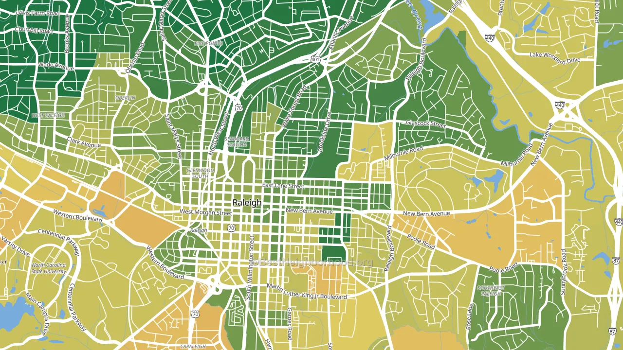 North Central, Raleigh, NC block-group voter-turnout map