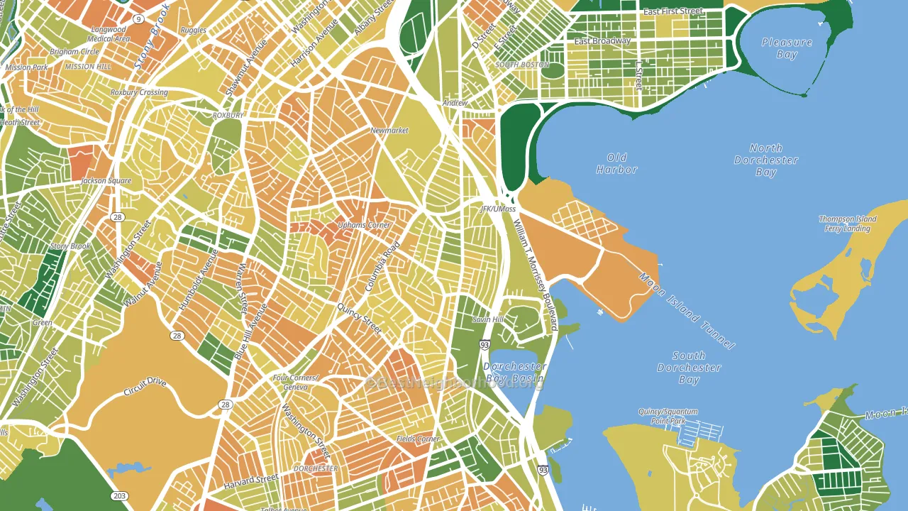 North Dorchester, Boston, MA block-group voter-turnout map