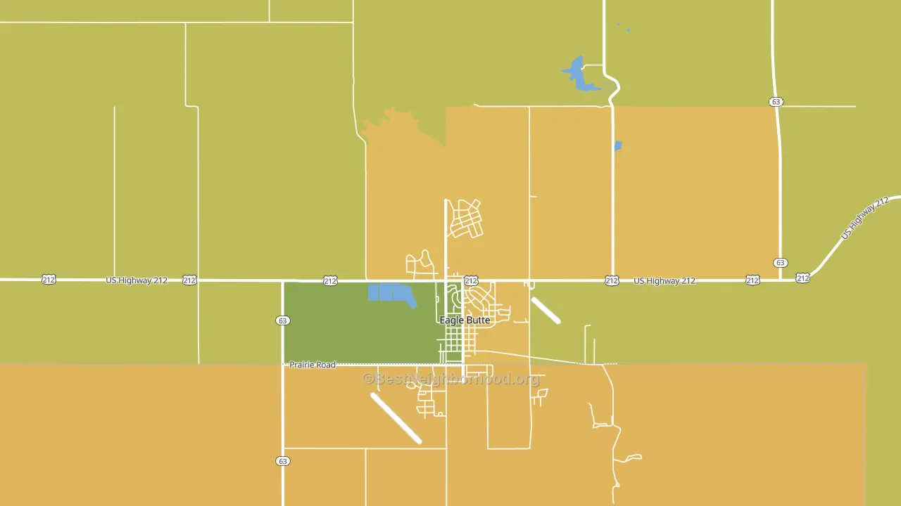 North Eagle Butte, SD block-group voter-turnout map