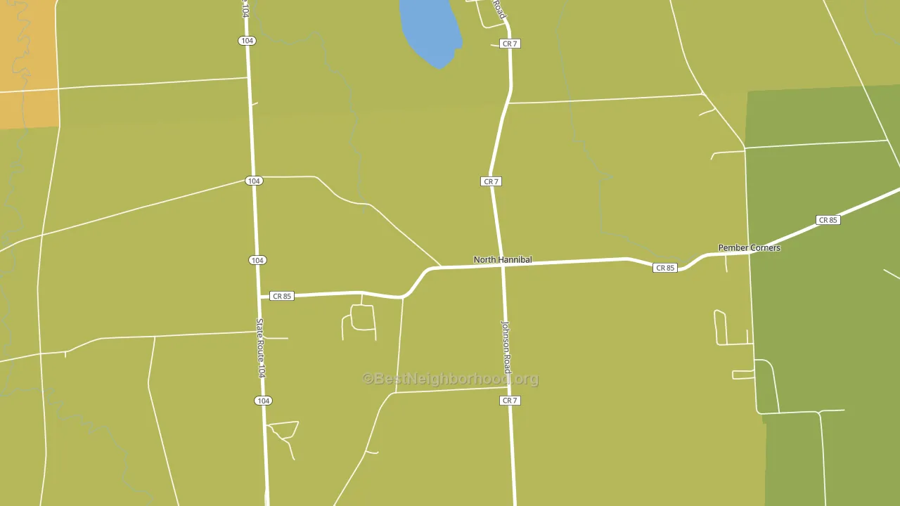 North Hannibal, NY block-group voter-turnout map