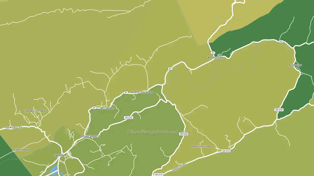 North Holston, VA block-group voter-turnout map