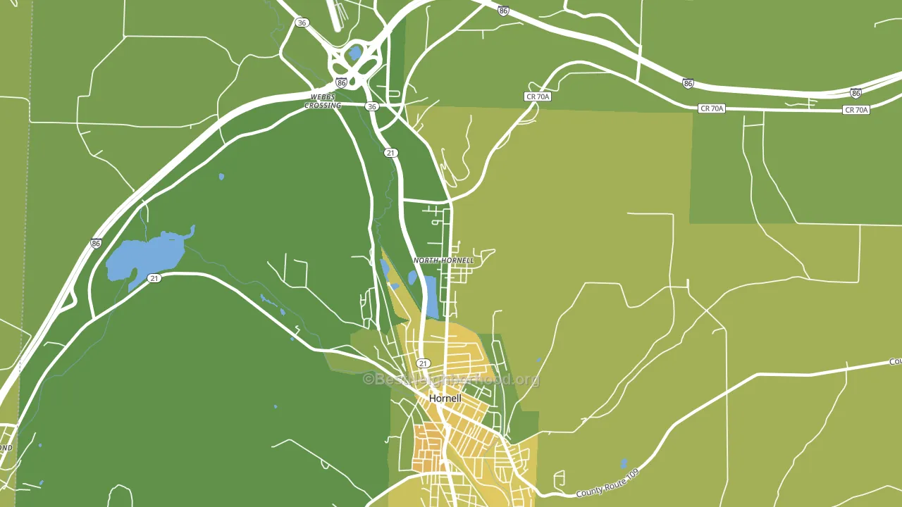 North Hornell, NY block-group voter-turnout map