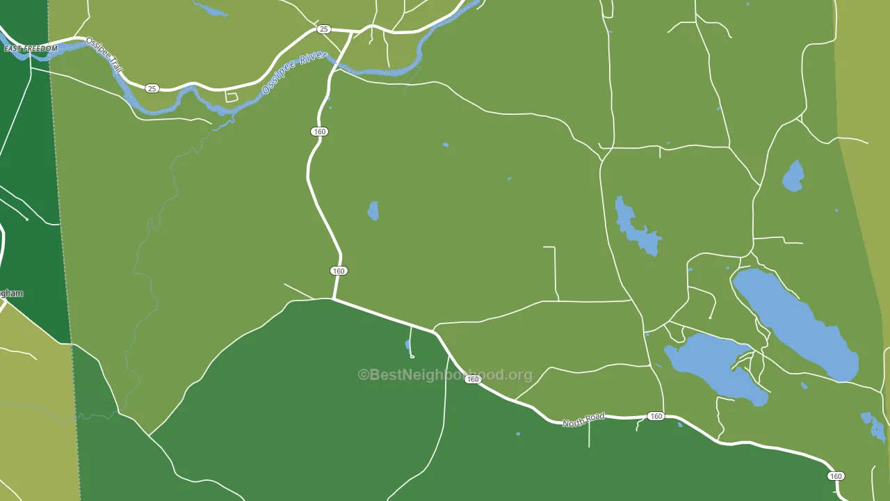 North Parsonfield, ME block-group voter-turnout map