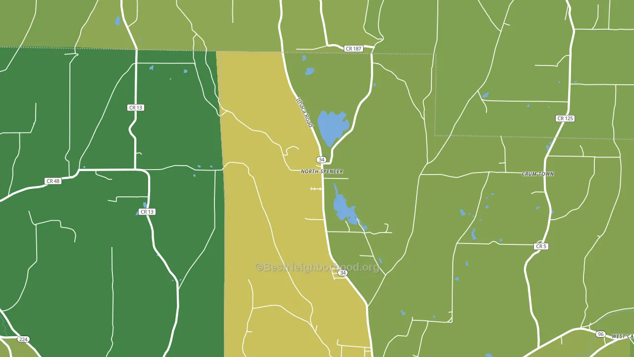 North Spencer, NY block-group voter-turnout map
