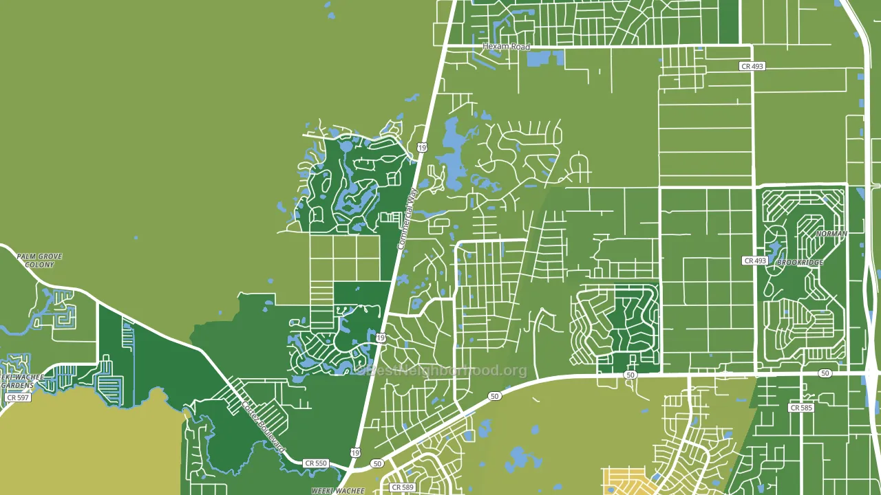 North Weeki Wachee, FL block-group voter-turnout map