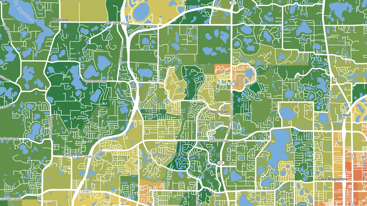 Northdale, FL block-group voter-turnout map