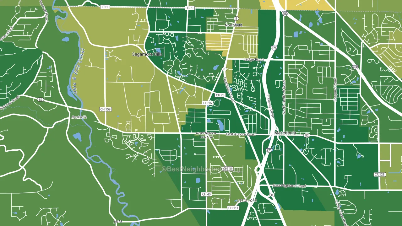 Northfield, OH block-group voter-turnout map