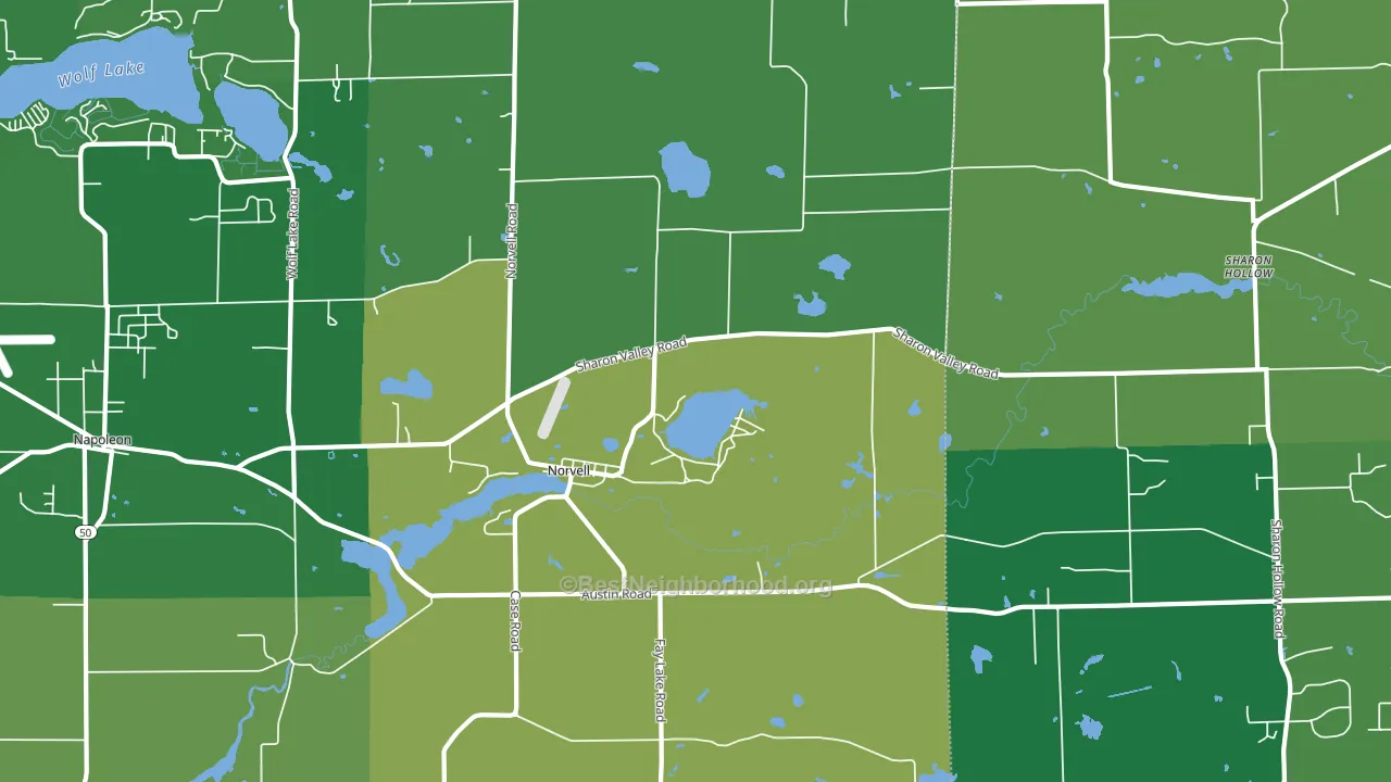 Norvell, MI block-group voter-turnout map