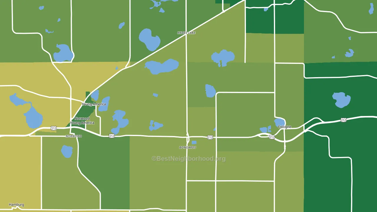 Norwood, MN block-group voter-turnout map