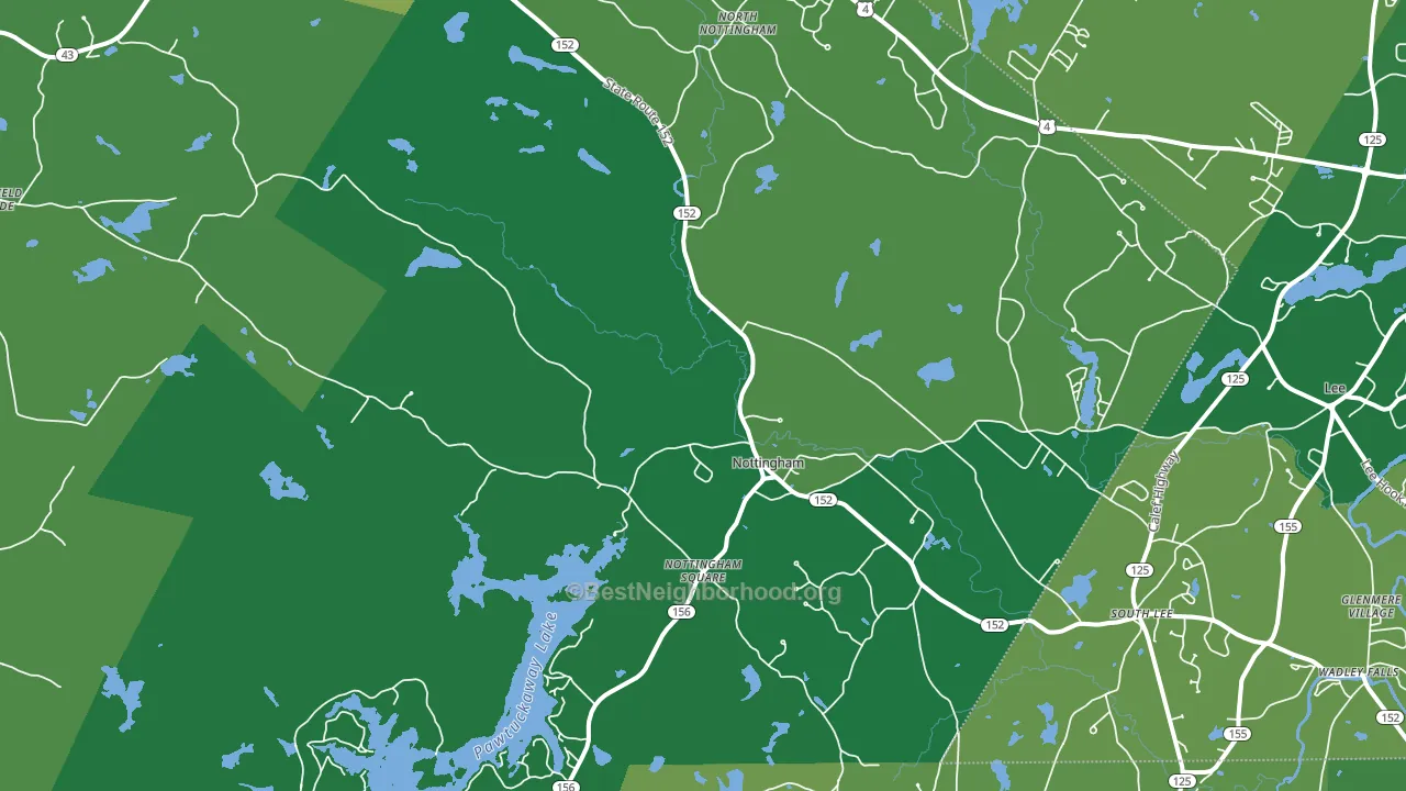Nottingham, NH block-group voter-turnout map