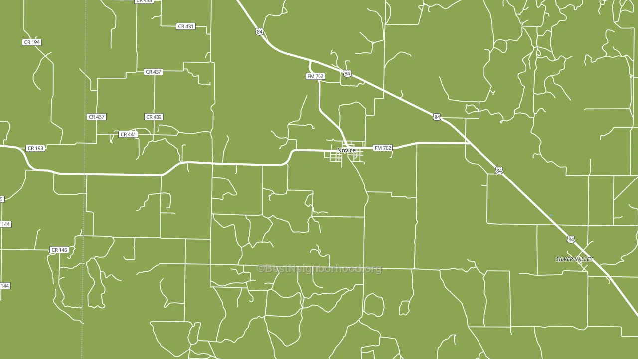 Novice, TX block-group voter-turnout map
