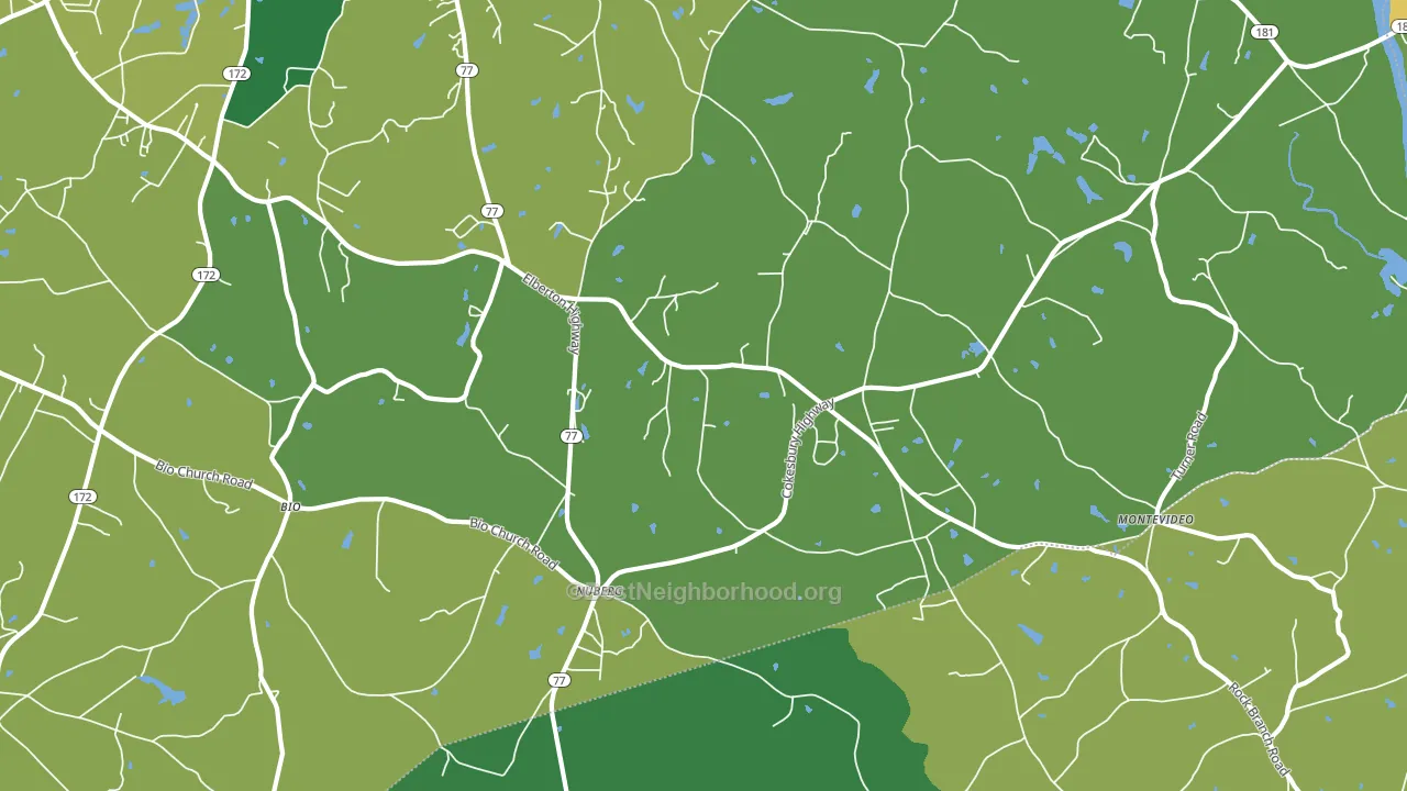 Nuberg, GA block-group voter-turnout map