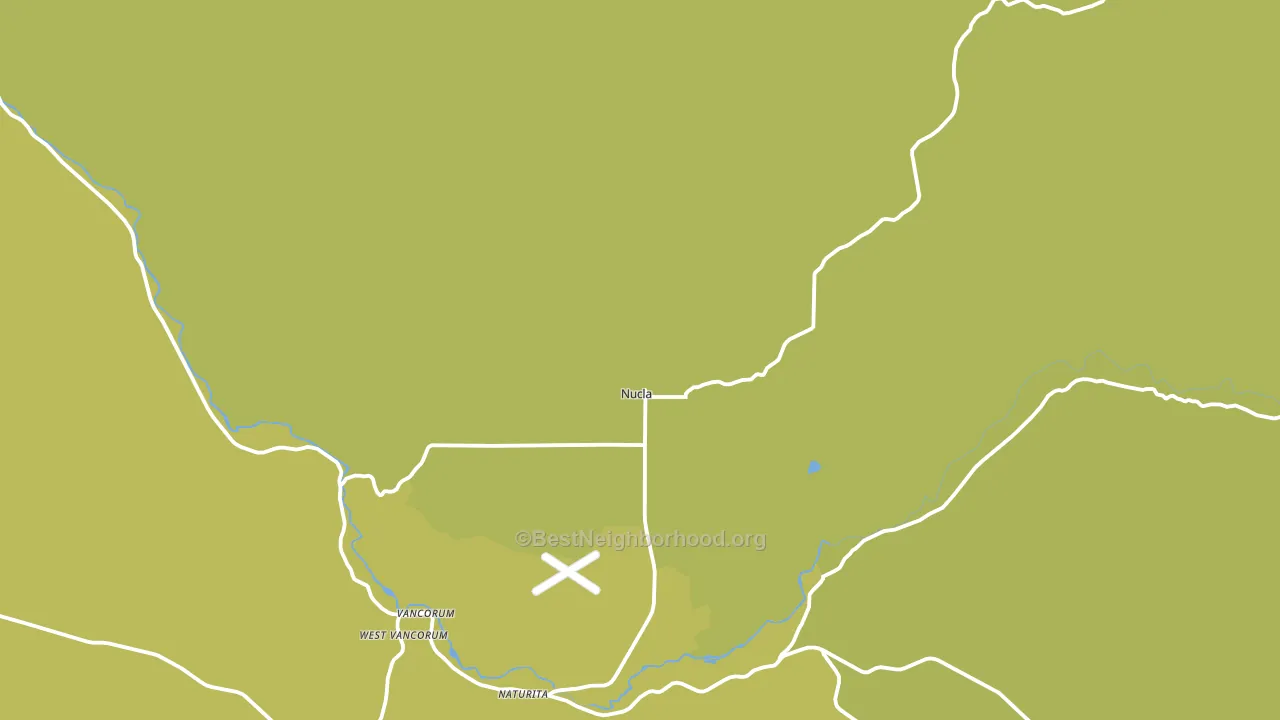 Nucla, CO block-group voter-turnout map