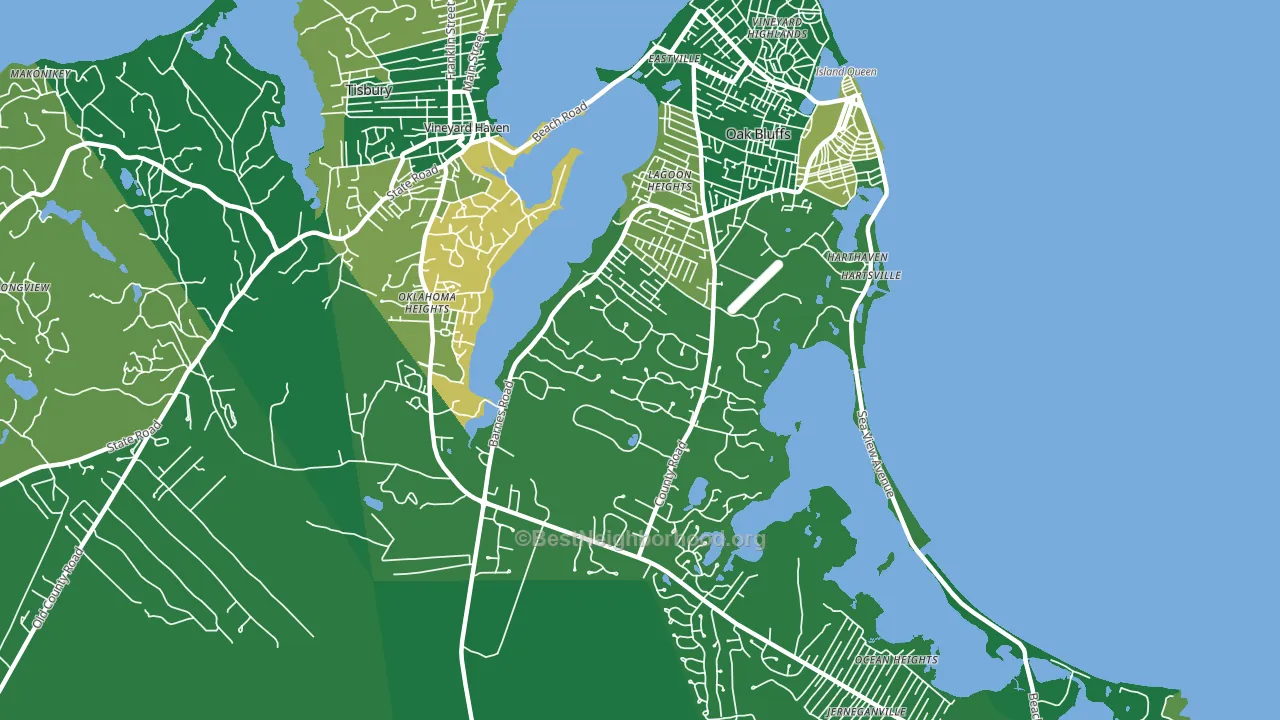 Oak Bluffs, MA block-group voter-turnout map