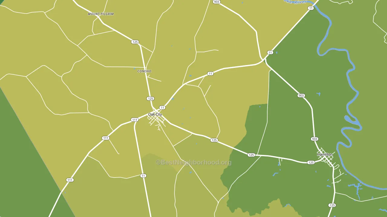 Oak City, NC block-group voter-turnout map