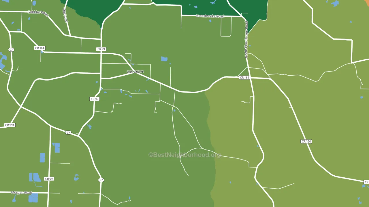 Oak Grove, FL block-group voter-turnout map