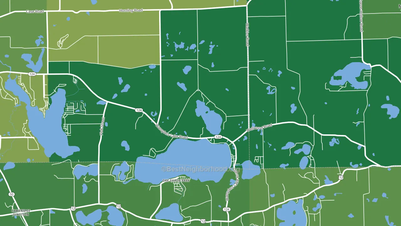 Oak Shade Park, MI block-group voter-turnout map