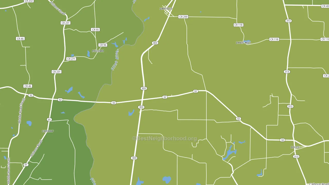 Oakfield, GA block-group voter-turnout map