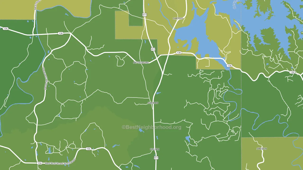 Oakman, GA block-group voter-turnout map