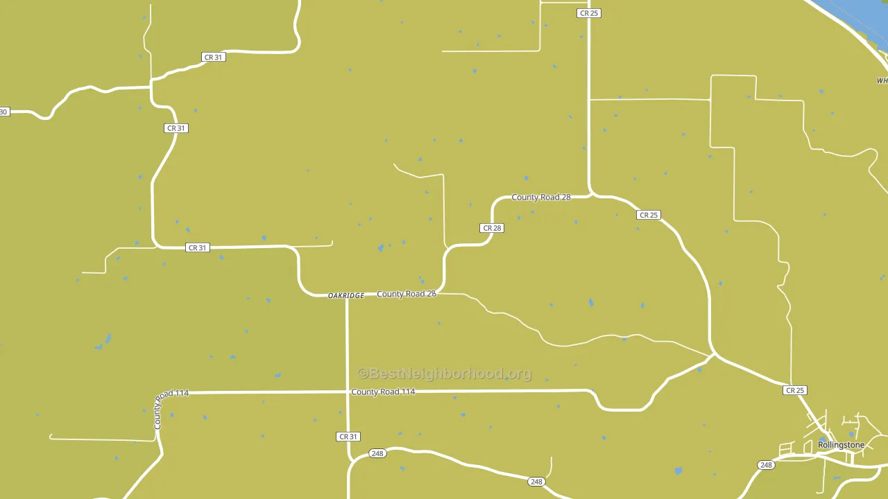 Oakridge, MN block-group voter-turnout map
