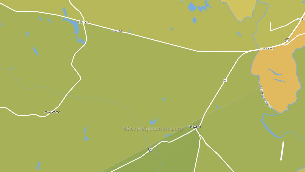 Oakwood, TX block-group voter-turnout map