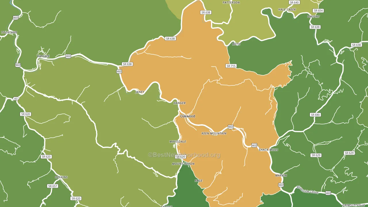 Oakwood, VA block-group voter-turnout map
