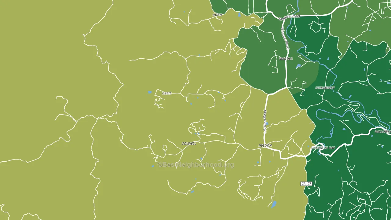 Oasis, GA block-group voter-turnout map