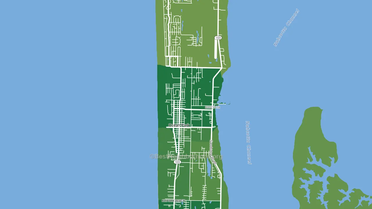 Ocean Park, WA block-group voter-turnout map