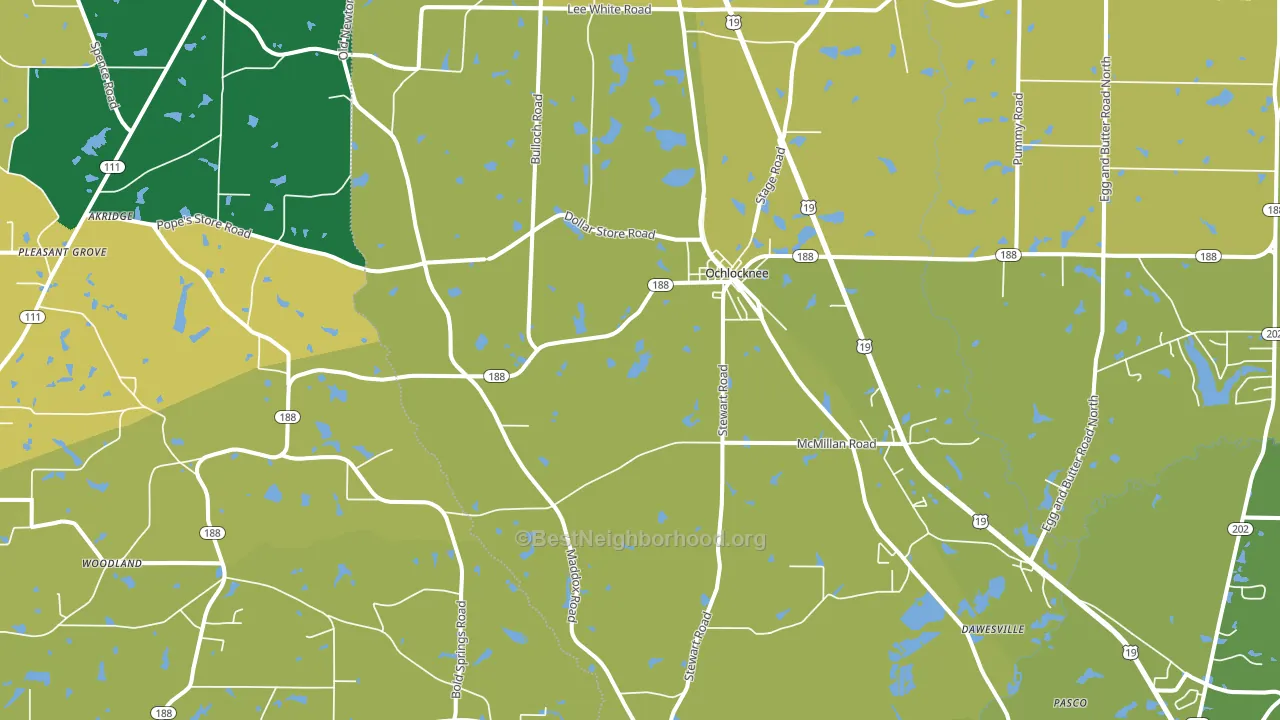 Ochlocknee, GA block-group voter-turnout map