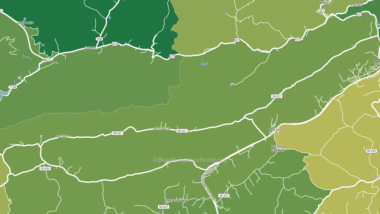 Ocoonita, VA block-group voter-turnout map