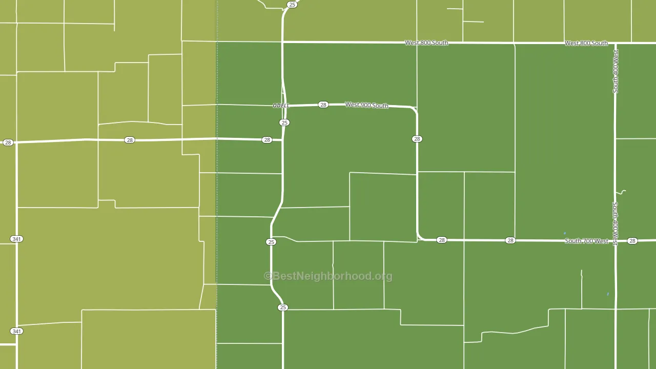 Odell, IN block-group voter-turnout map