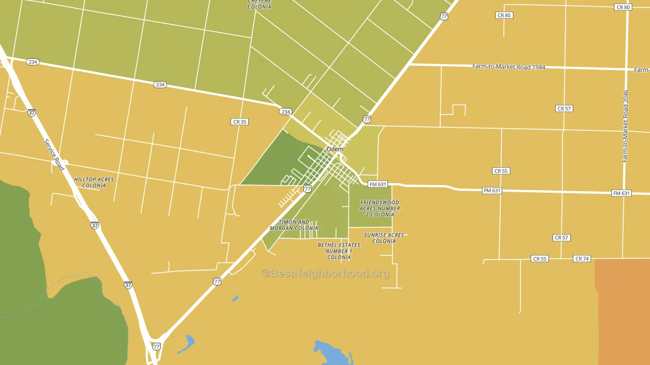 Odem, TX block-group voter-turnout map