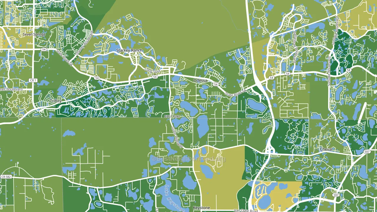 Odessa, FL block-group voter-turnout map