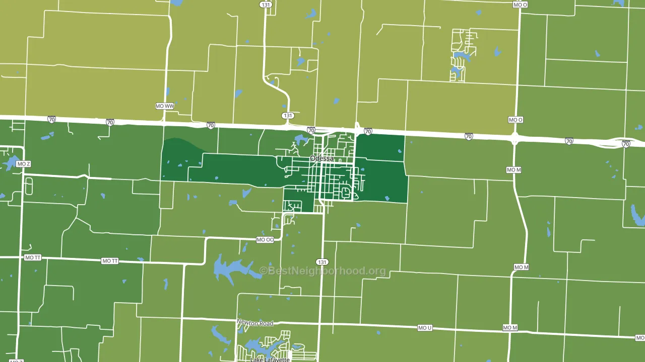 Odessa, MO block-group voter-turnout map