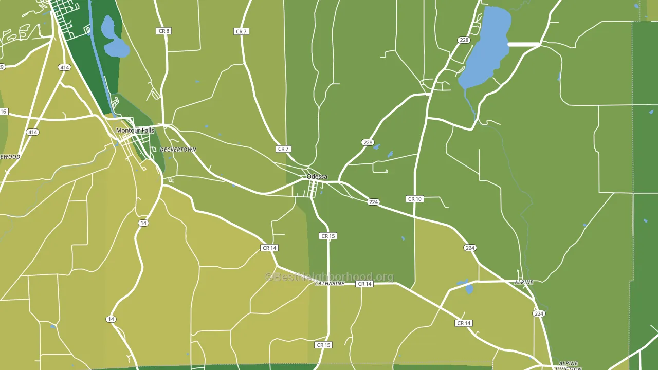 Odessa, NY block-group voter-turnout map