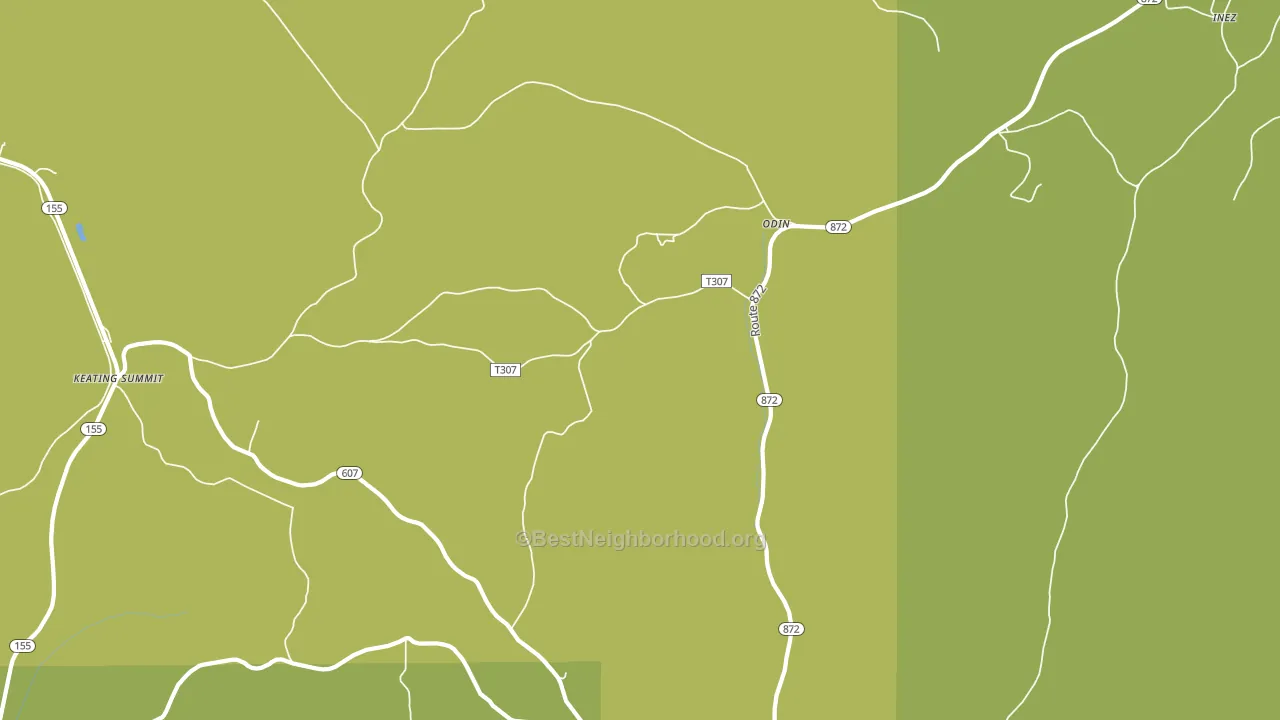 Odin, PA block-group voter-turnout map