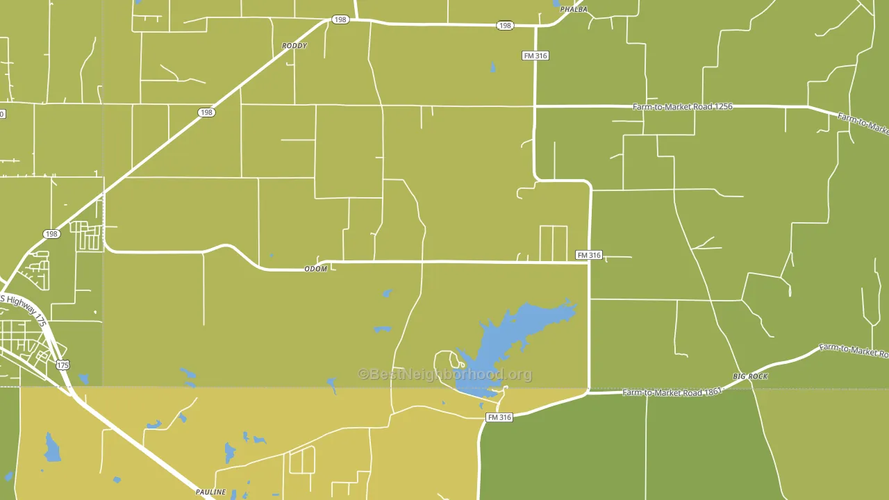 Odom, TX block-group voter-turnout map