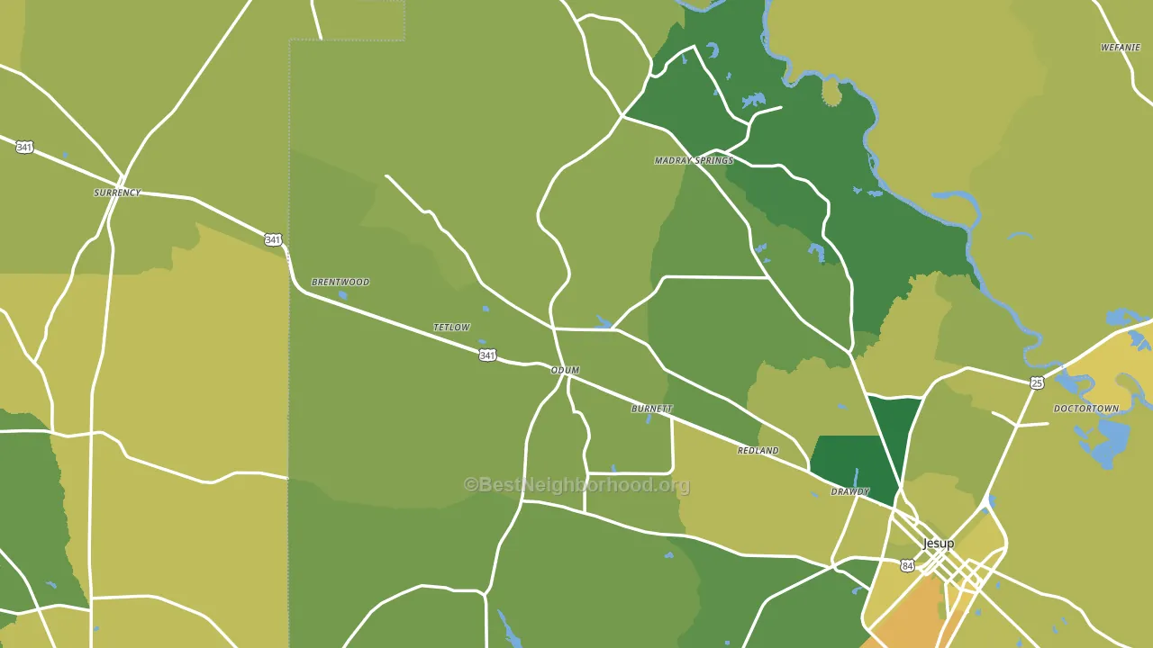 Odum, GA block-group voter-turnout map