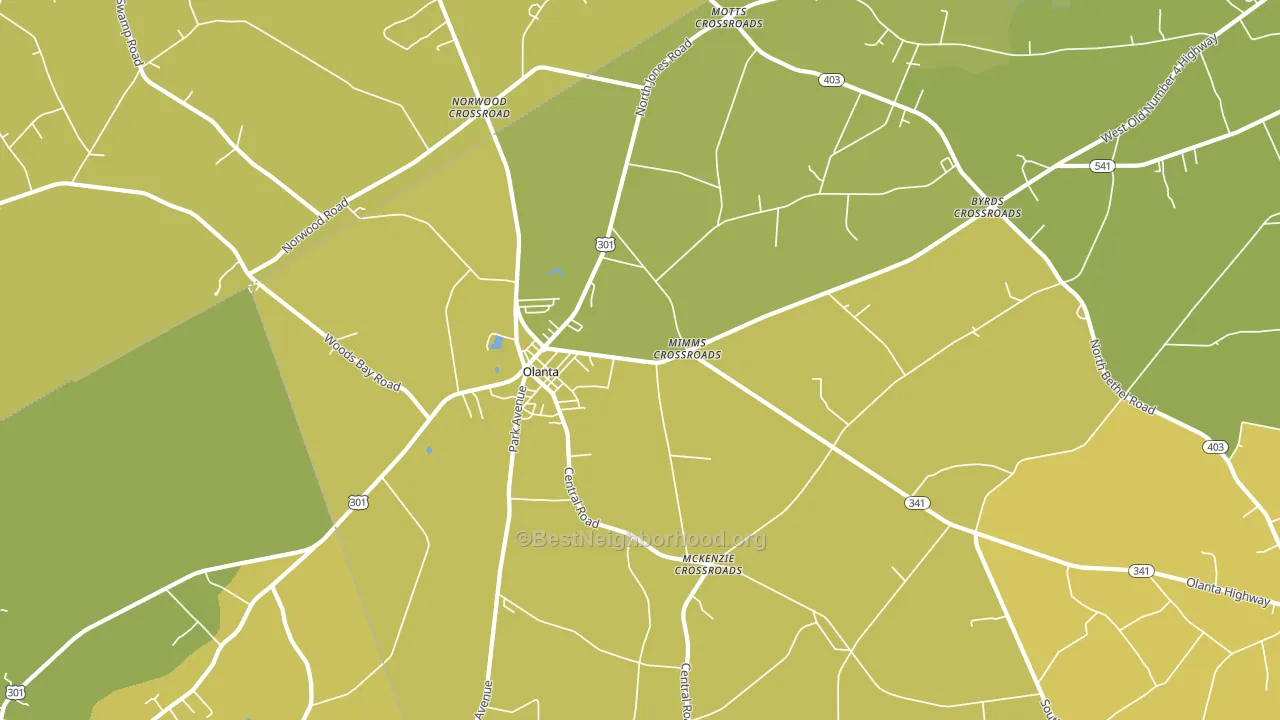 Olanta, SC block-group voter-turnout map
