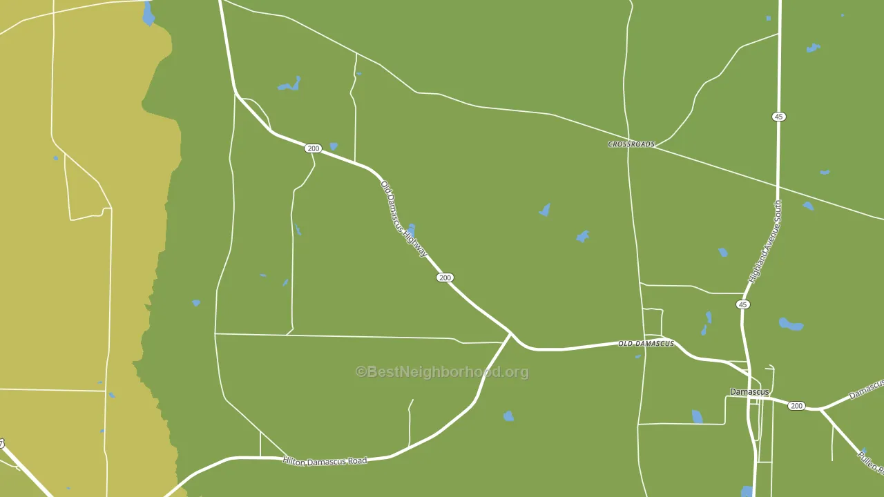 Old Damascus, GA block-group voter-turnout map