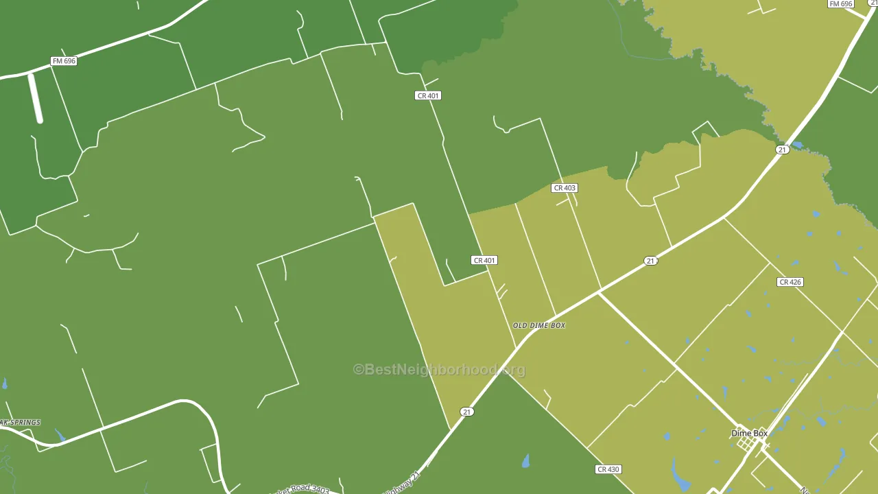 Old Dime Box, TX block-group voter-turnout map