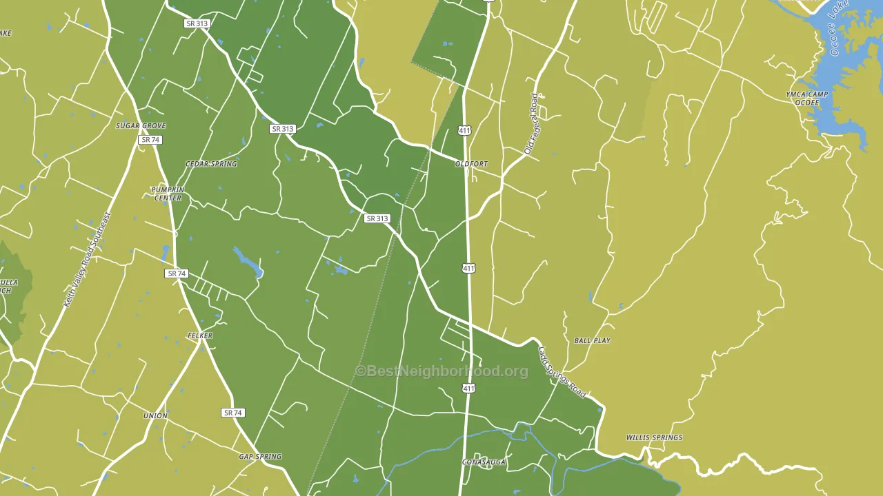 Old Fort, TN block-group voter-turnout map