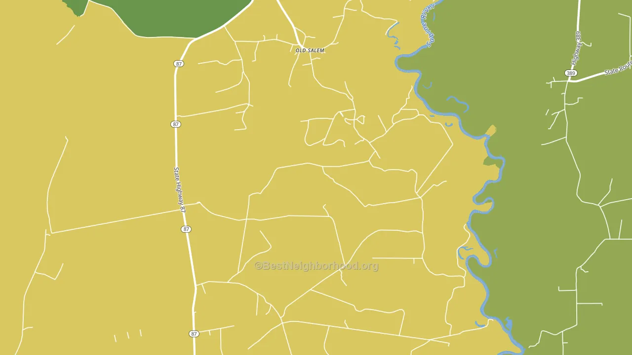 Old Salem, TX block-group voter-turnout map