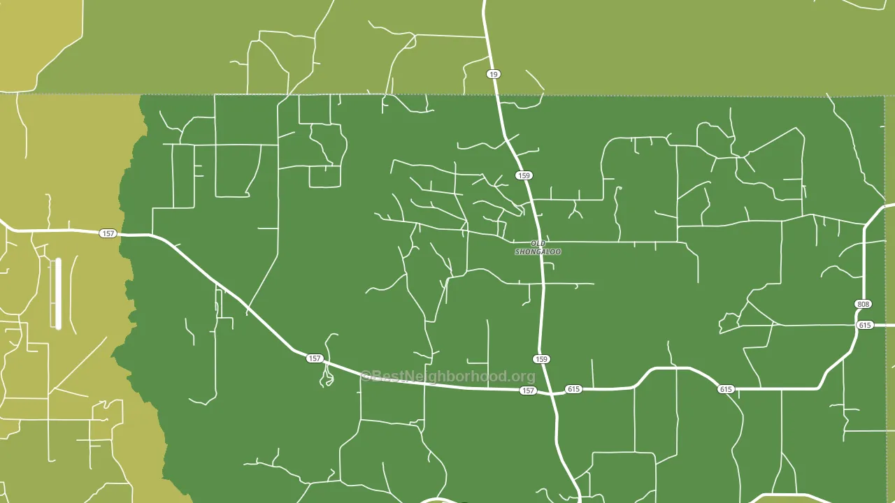 Old Shongaloo, LA block-group voter-turnout map